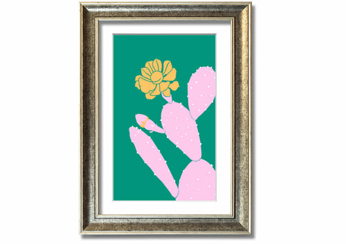 Pink Cactus With A Yellow Flower